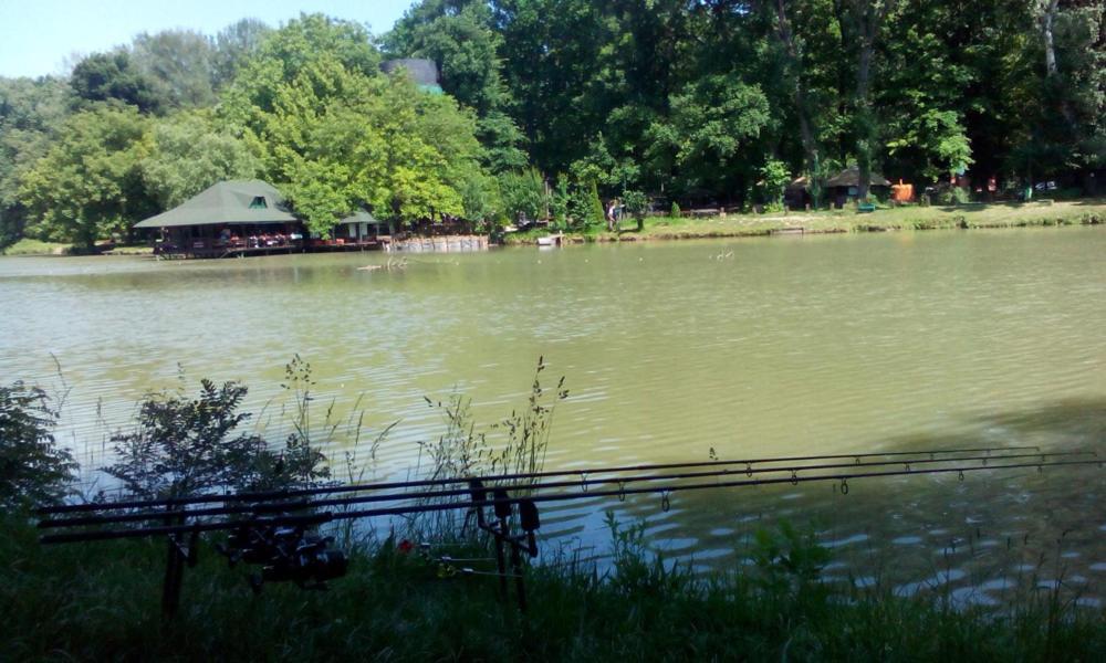 Monia Dream Apartment - Belgrade Lake & Fair Kültér fotó