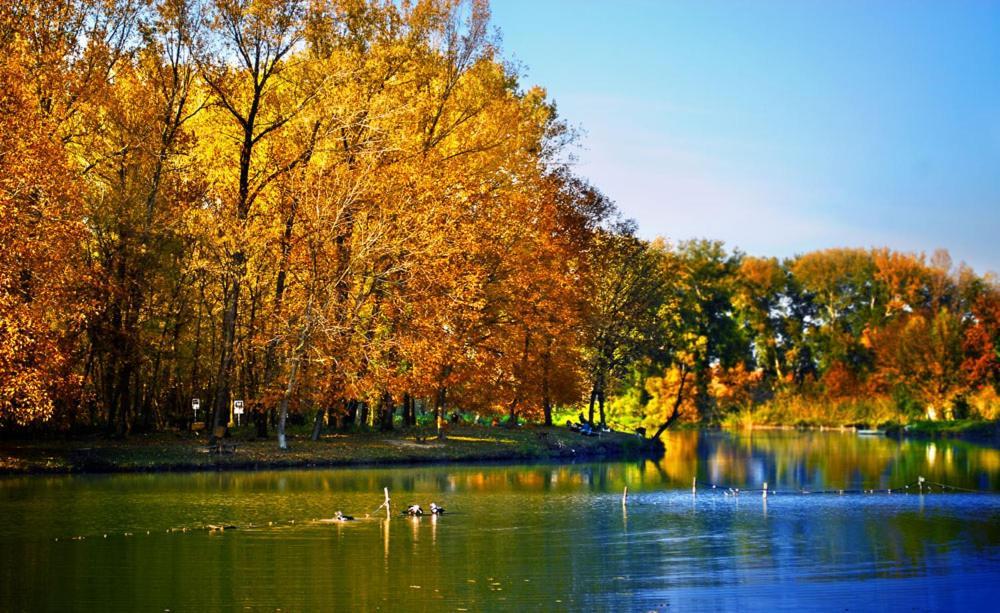 Monia Dream Apartment - Belgrade Lake & Fair Kültér fotó